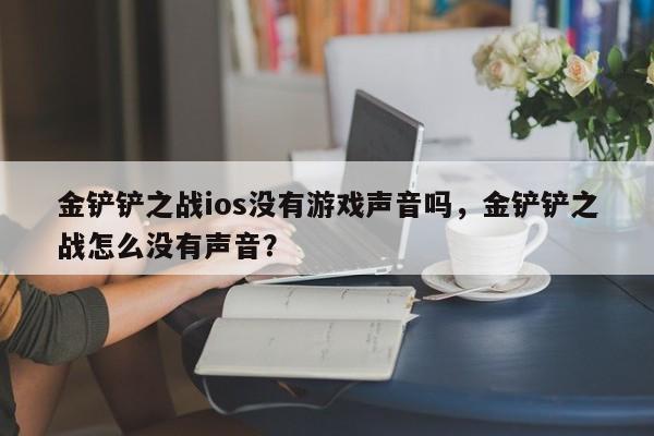 金铲铲之战ios没有游戏声音吗,金铲铲之战怎么没有声音?