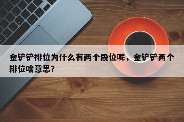 金铲铲排位为什么有两个段位呢，金铲铲两个排位啥意思？
