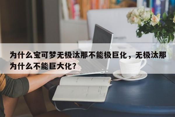 为什么宝可梦无极汰那不能极巨化，无极汰那为什么不能巨大化？