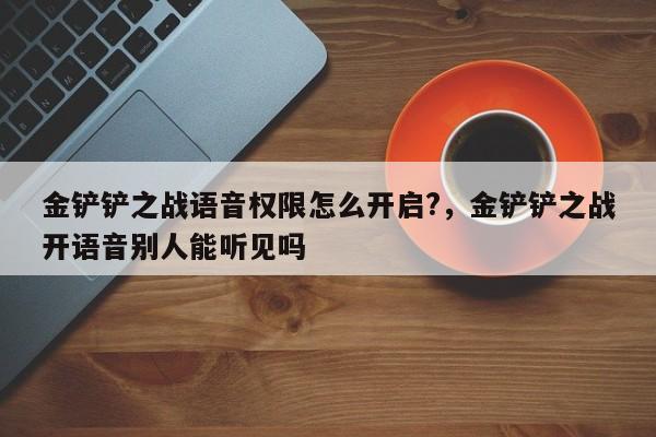 金铲铲之战语音权限怎么开启?，金铲铲之战开语音别人能听见吗