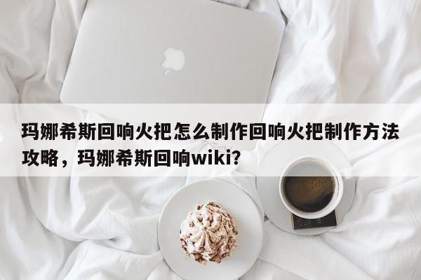 玛娜希斯回响火把怎么制作回响火把制作方法攻略，玛娜希斯回响wiki？