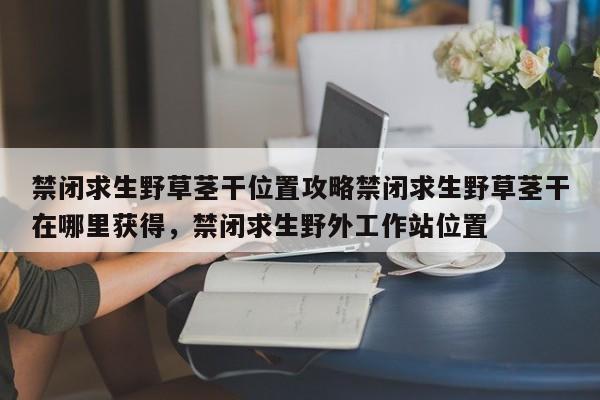 禁闭求生野草茎干位置攻略禁闭求生野草茎干在哪里获得，禁闭求生野外工作站位置