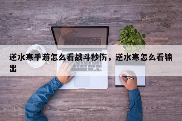 逆水寒手游怎么看战斗秒伤，逆水寒怎么看输出