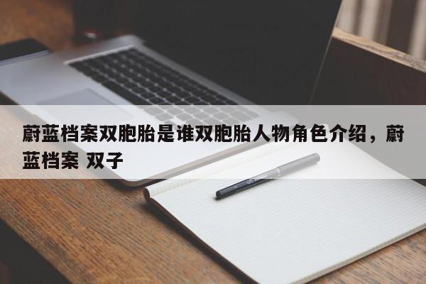 蔚蓝档案双胞胎是谁双胞胎人物角色介绍，蔚蓝档案 双子