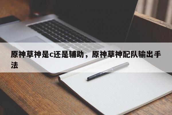 原神草神是c还是辅助，原神草神配队输出手法