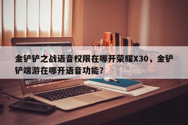 金铲铲之战语音权限在哪开荣耀X30，金铲铲端游在哪开语音功能？