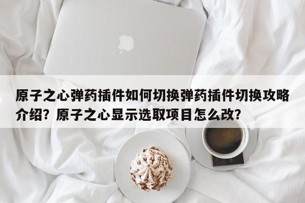 原子之心弹药插件如何切换弹药插件切换攻略介绍？原子之心显示选取项目怎么改？