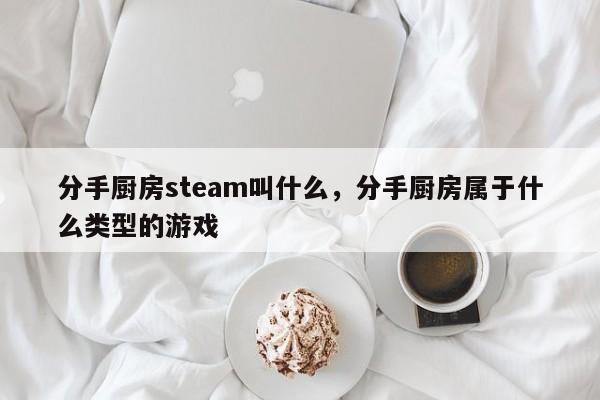 分手厨房steam叫什么，分手厨房属于什么类型的游戏