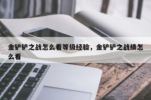 金铲铲之战怎么看等级经验，金铲铲之战绩怎么看